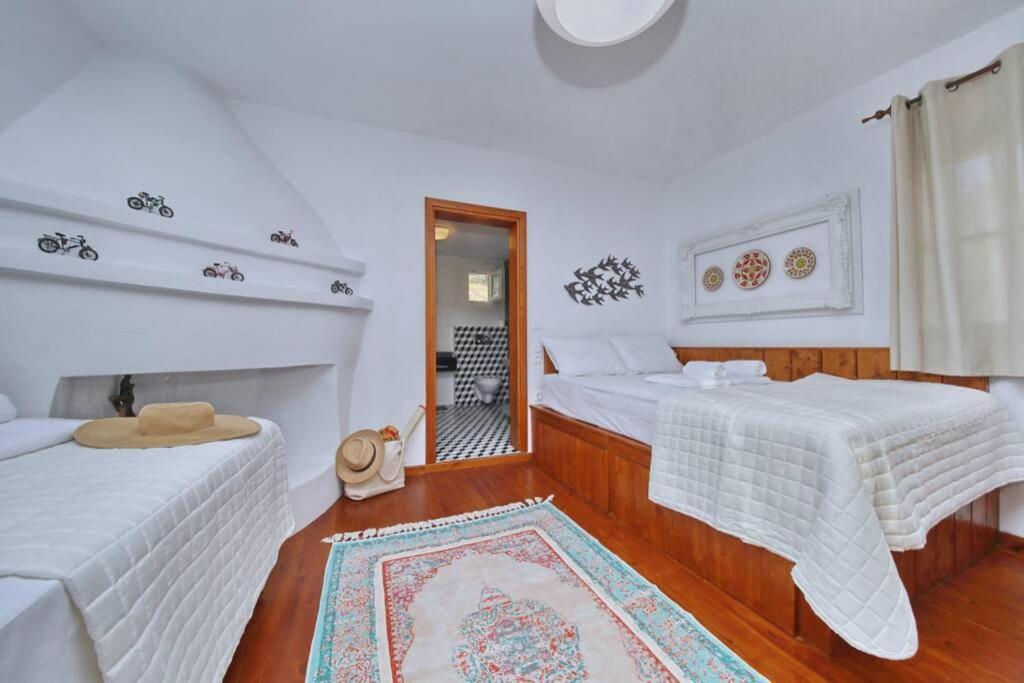 Vila Παναής & Μαρία / Panais & Maria Skopelos Exteriér fotografie
